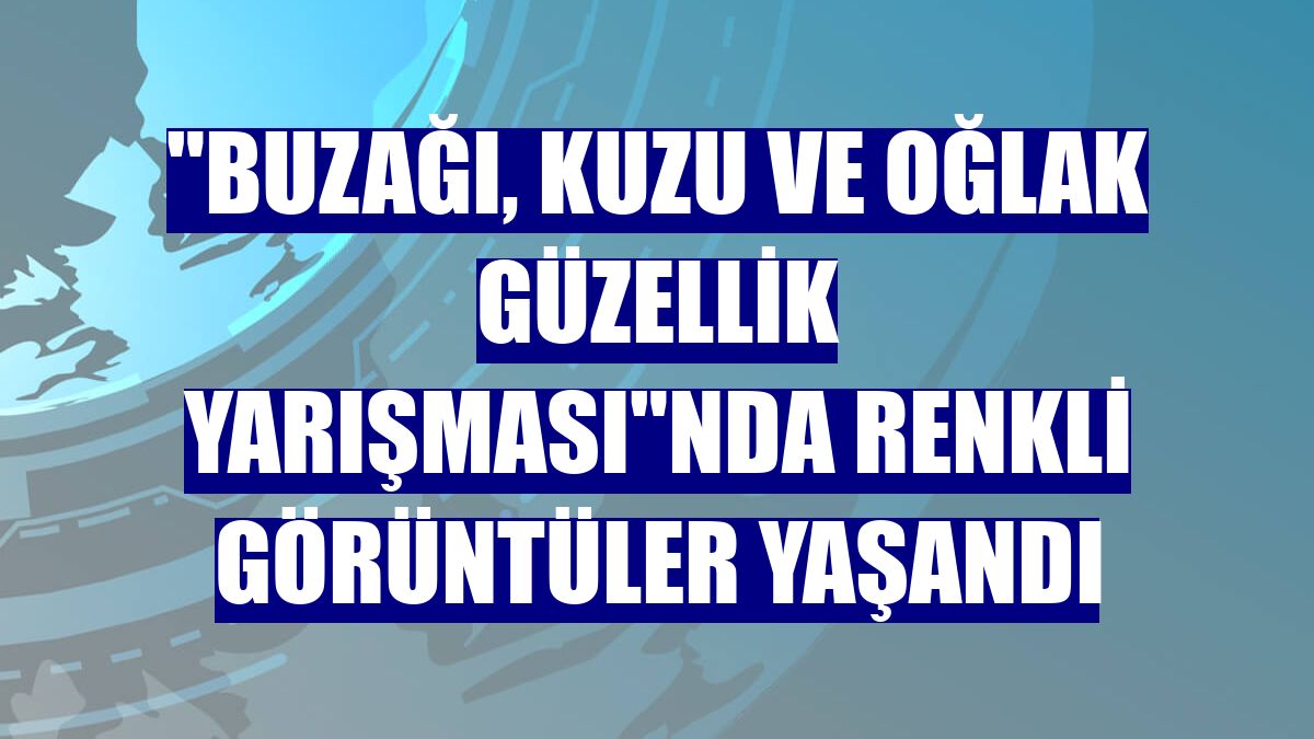 "Buzağı, Kuzu ve Oğlak Güzellik Yarışması"nda renkli görüntüler yaşandı