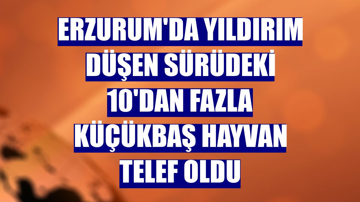 Erzurum'da yıldırım düşen sürüdeki 10'dan fazla küçükbaş hayvan telef oldu