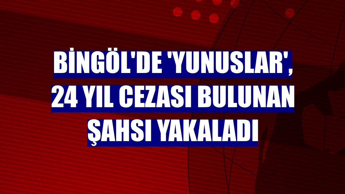 Bingöl'de 'Yunuslar', 24 yıl cezası bulunan şahsı yakaladı