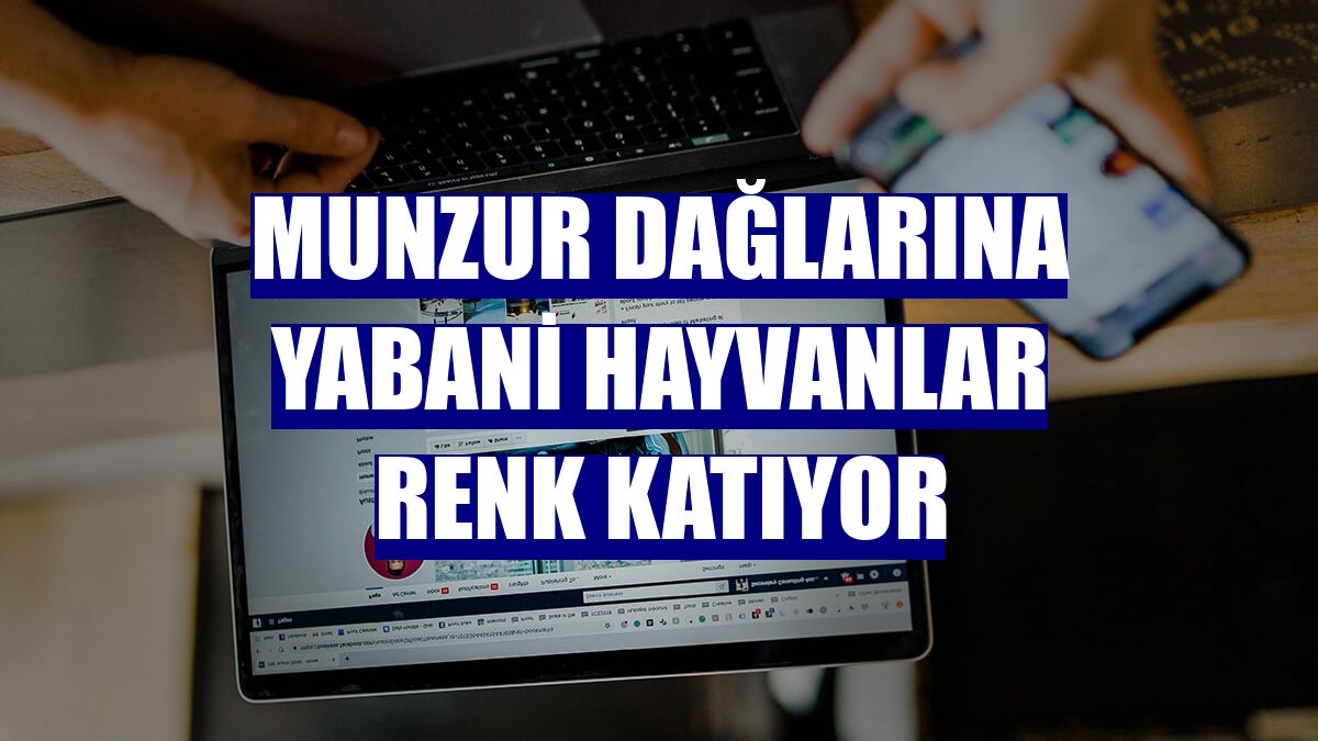 Munzur Dağlarına yabani hayvanlar renk katıyor