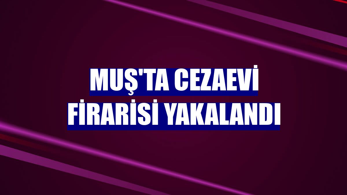 Muş'ta cezaevi firarisi yakalandı