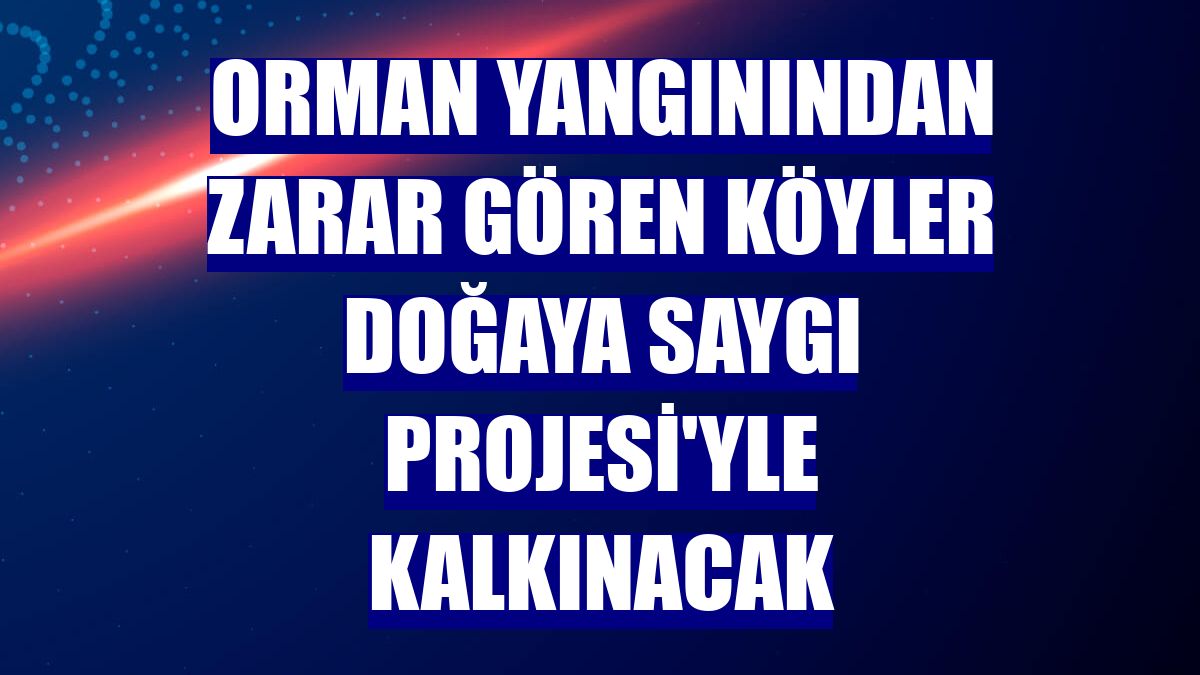 Orman yangınından zarar gören köyler Doğaya Saygı Projesi'yle kalkınacak