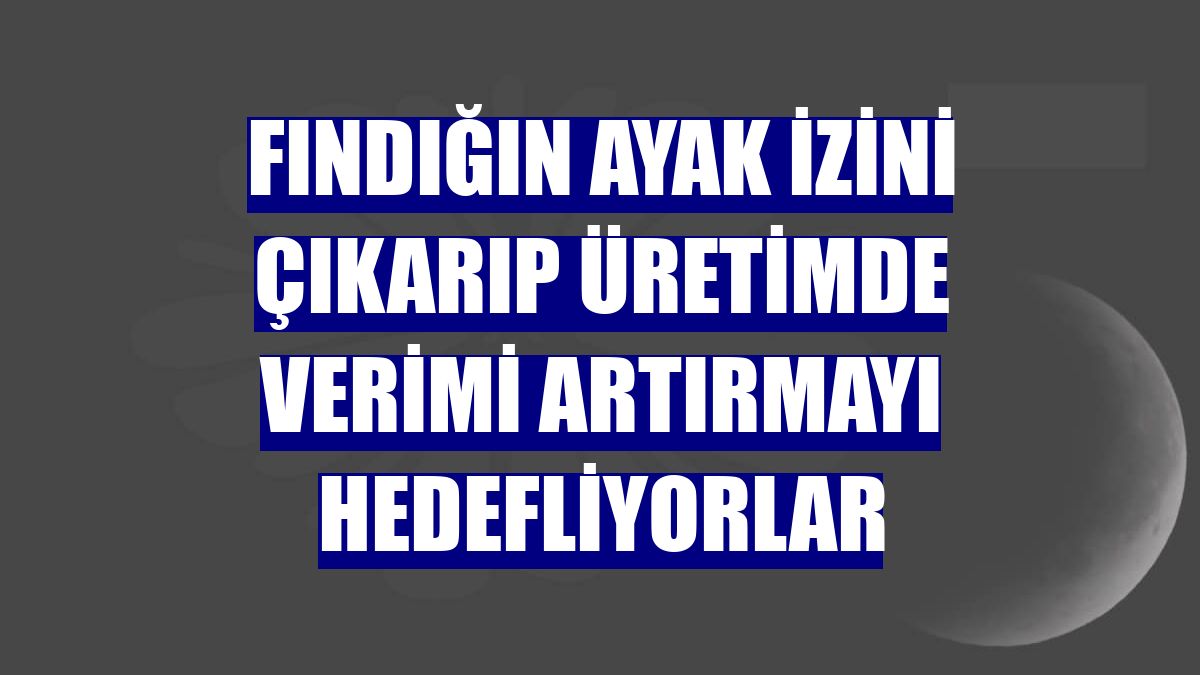 Fındığın ayak izini çıkarıp üretimde verimi artırmayı hedefliyorlar