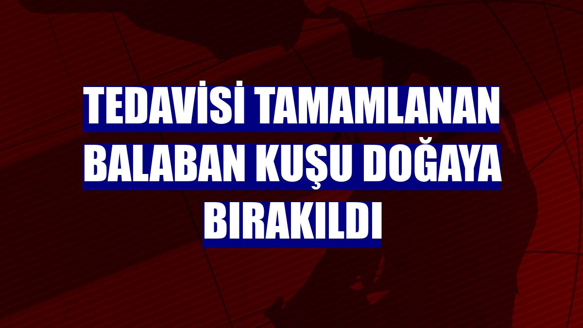 Tedavisi tamamlanan balaban kuşu doğaya bırakıldı