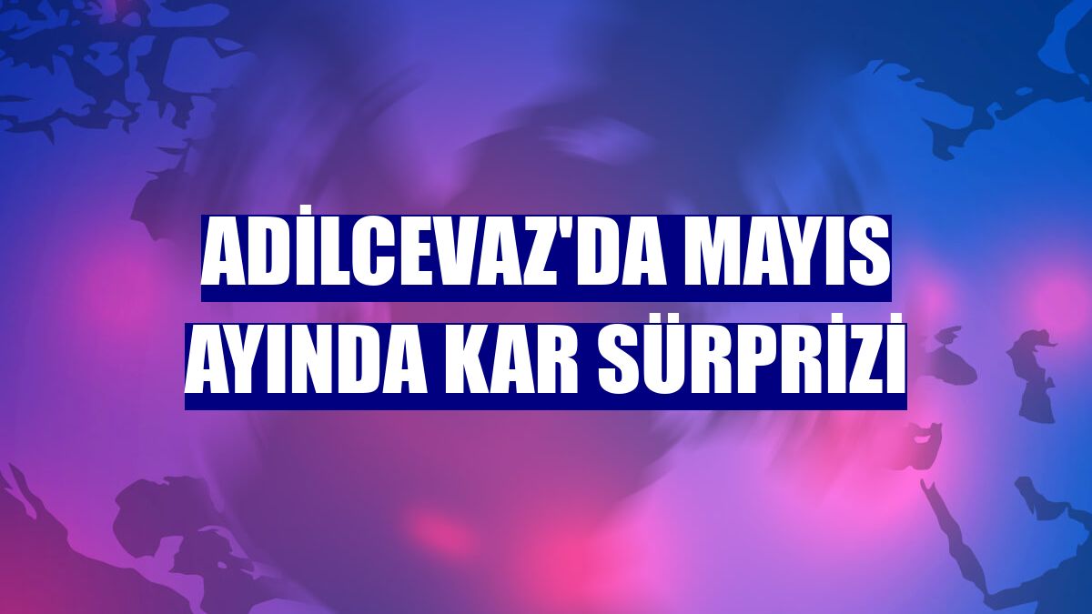 Adilcevaz'da mayıs ayında kar sürprizi