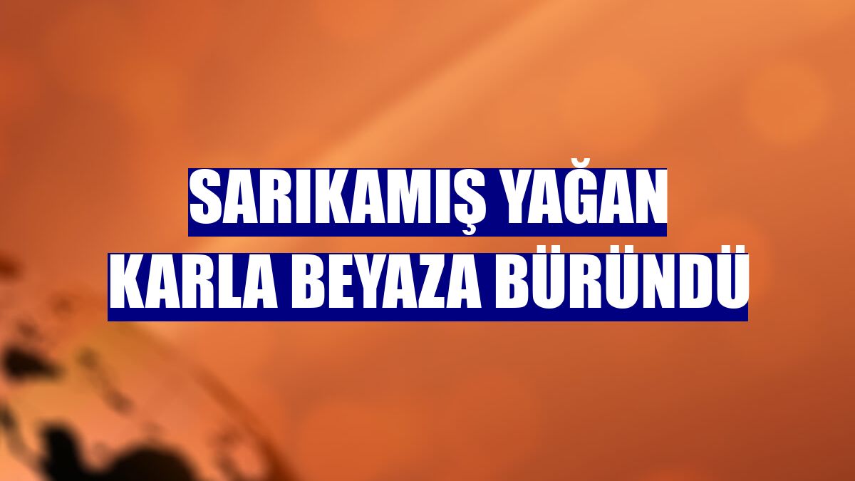 Sarıkamış yağan karla beyaza büründü