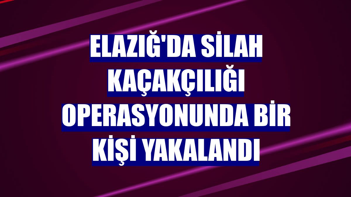 Elazığ'da silah kaçakçılığı operasyonunda bir kişi yakalandı