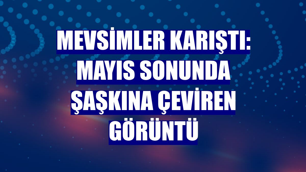 Mevsimler karıştı: Mayıs sonunda şaşkına çeviren görüntü