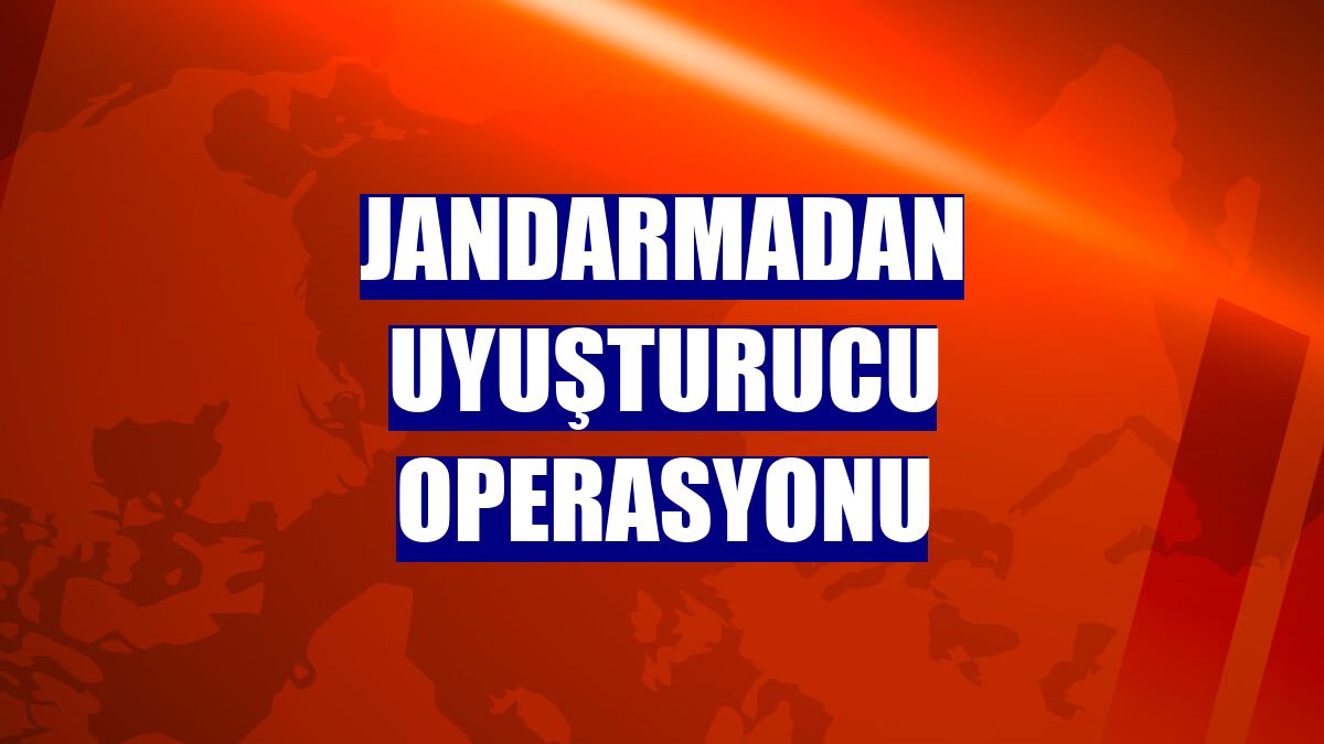 Jandarmadan uyuşturucu operasyonu