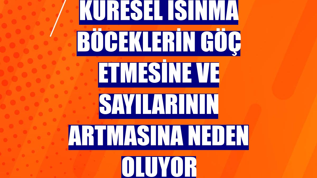 Küresel ısınma böceklerin göç etmesine ve sayılarının artmasına neden oluyor