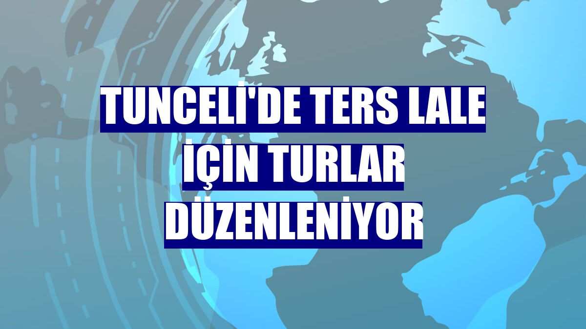 Tunceli'de ters lale için turlar düzenleniyor