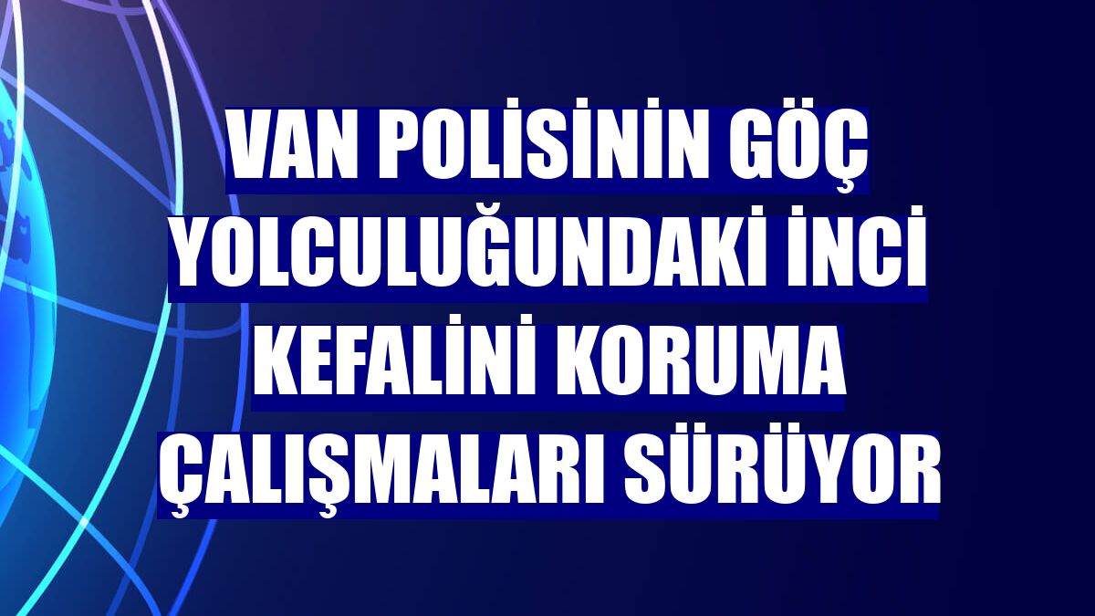 Van polisinin göç yolculuğundaki inci kefalini koruma çalışmaları sürüyor