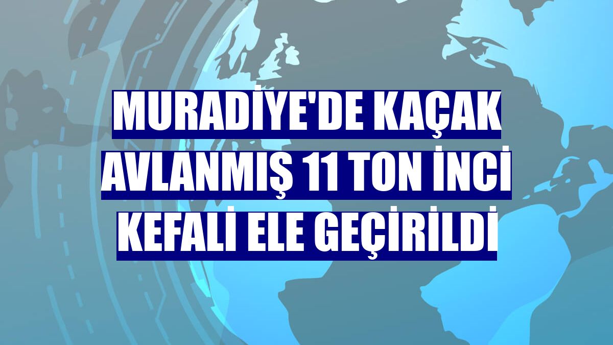 Muradiye'de kaçak avlanmış 11 ton inci kefali ele geçirildi