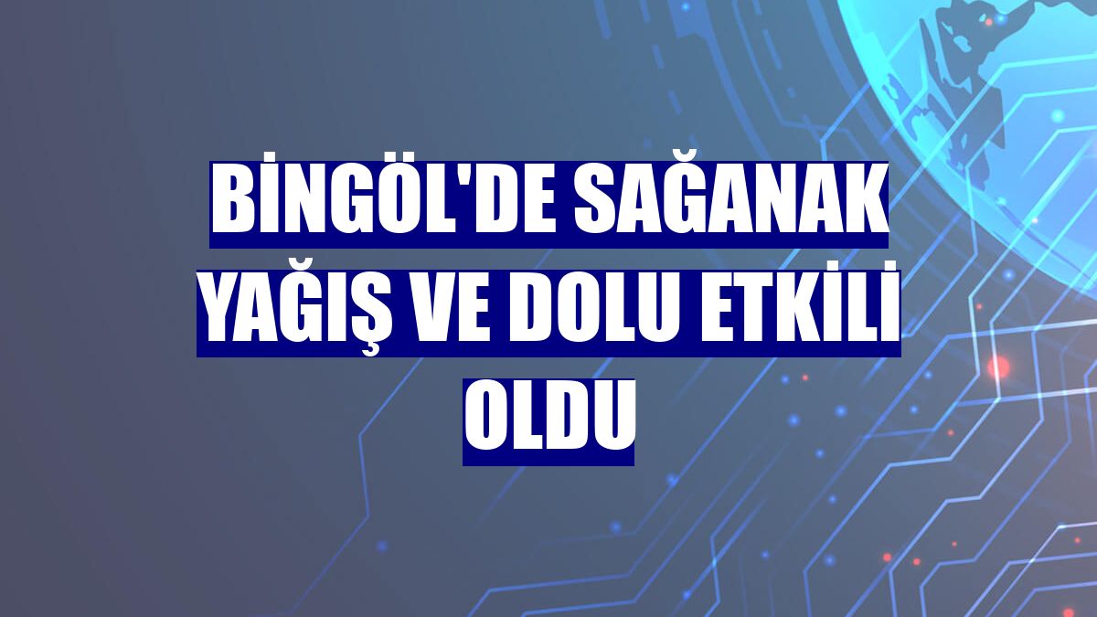 Bingöl'de sağanak yağış ve dolu etkili oldu