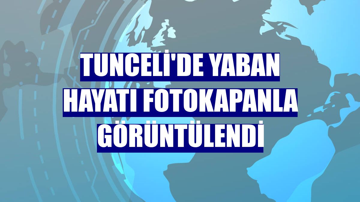 Tunceli'de yaban hayatı fotokapanla görüntülendi