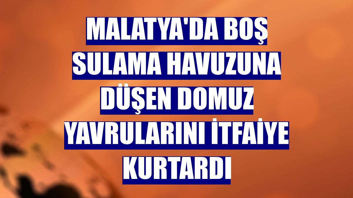 Malatya'da boş sulama havuzuna düşen domuz yavrularını itfaiye kurtardı