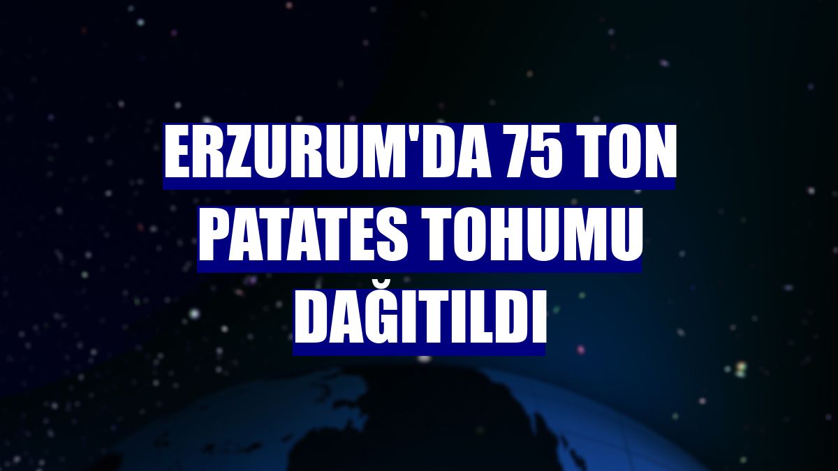 Erzurum'da 75 ton patates tohumu dağıtıldı