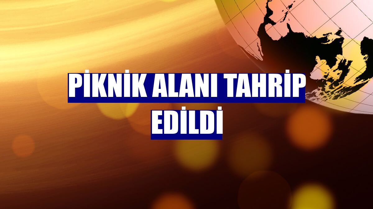 Piknik alanı tahrip edildi