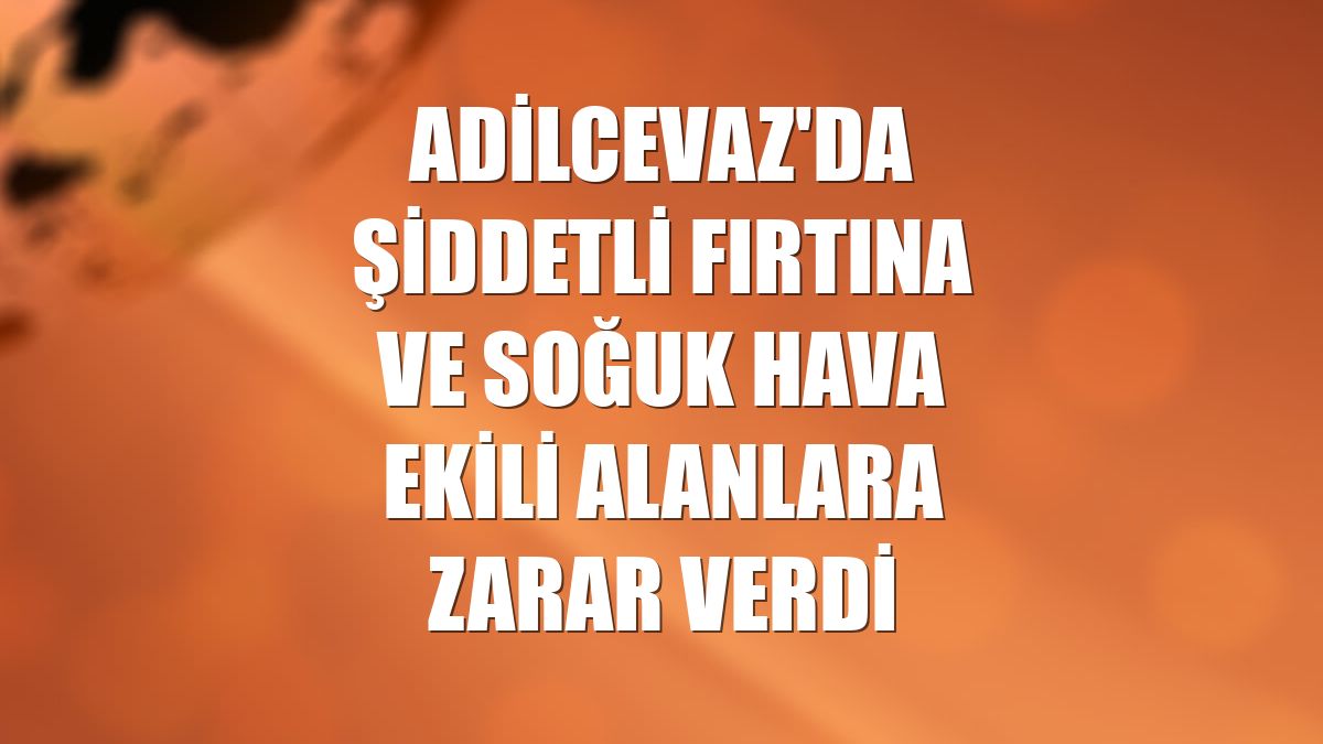 Adilcevaz'da şiddetli fırtına ve soğuk hava ekili alanlara zarar verdi