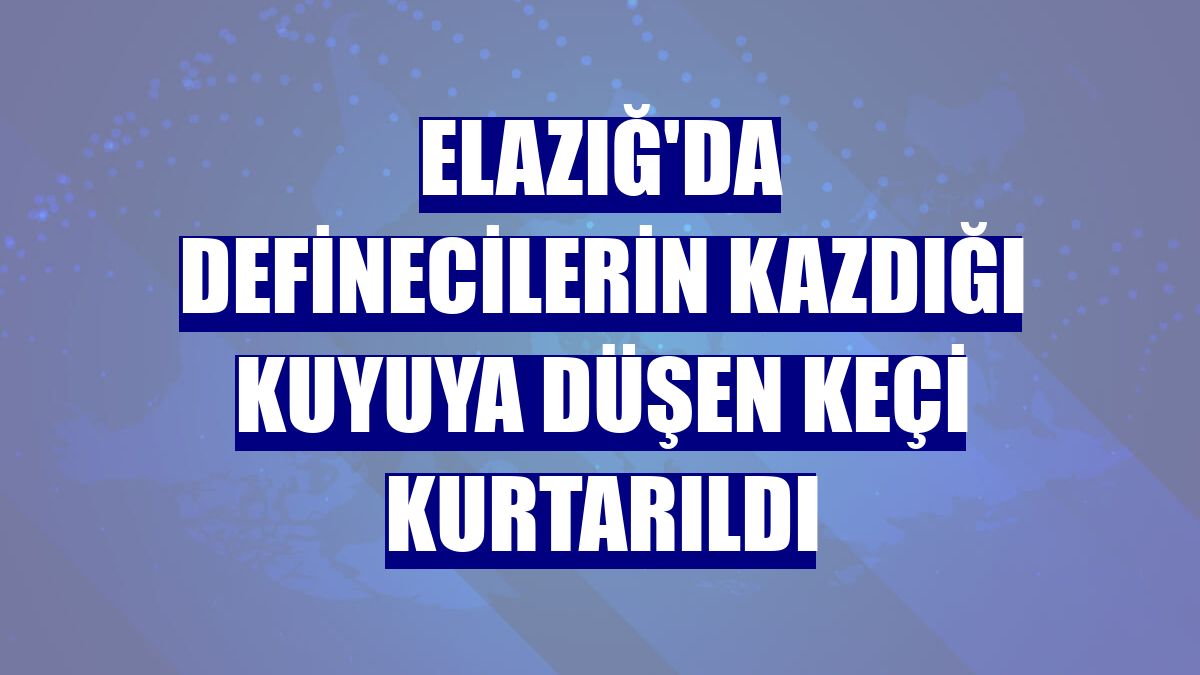 Elazığ'da definecilerin kazdığı kuyuya düşen keçi kurtarıldı