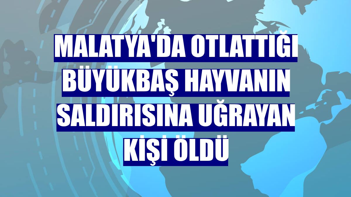 Malatya'da otlattığı büyükbaş hayvanın saldırısına uğrayan kişi öldü
