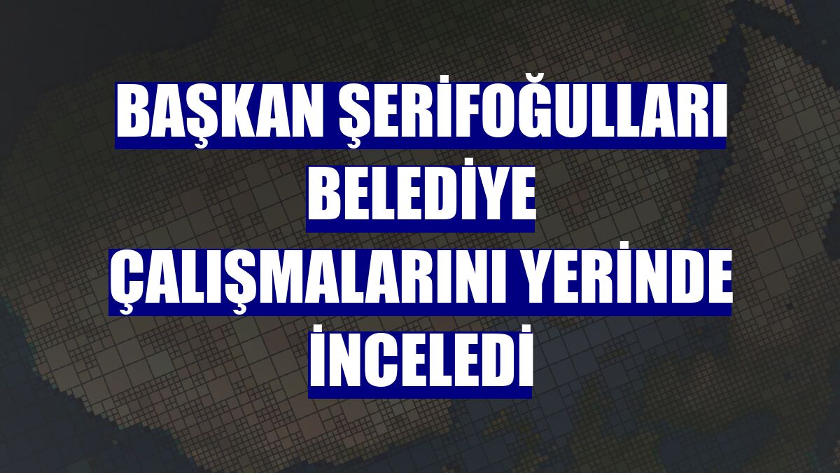 Başkan Şerifoğulları belediye çalışmalarını yerinde inceledi