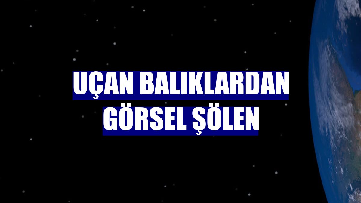Uçan balıklardan görsel şölen