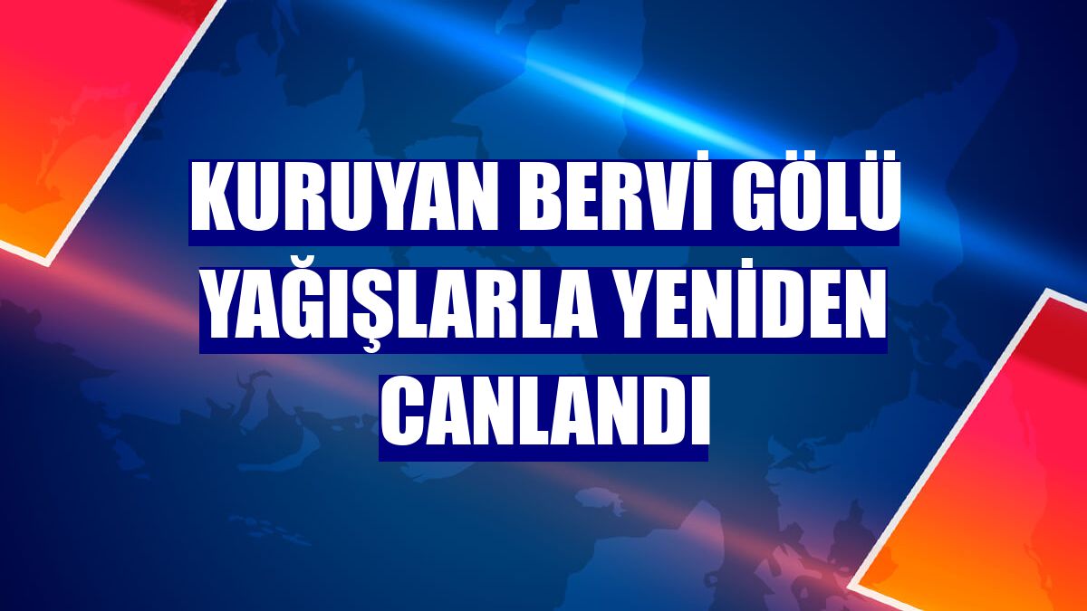 Kuruyan Bervi Gölü yağışlarla yeniden canlandı