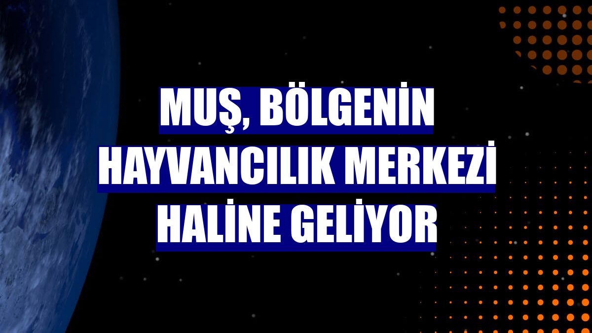 Muş, bölgenin hayvancılık merkezi haline geliyor