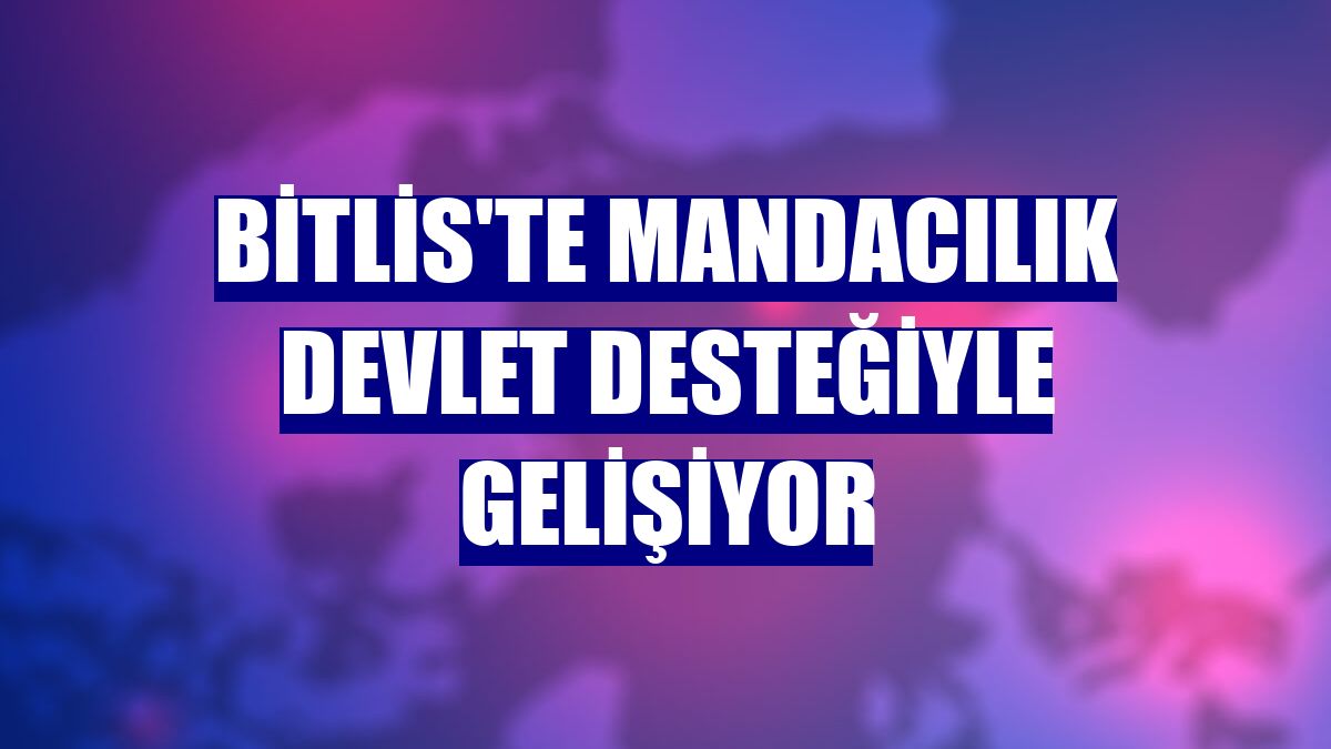 Bitlis'te mandacılık devlet desteğiyle gelişiyor