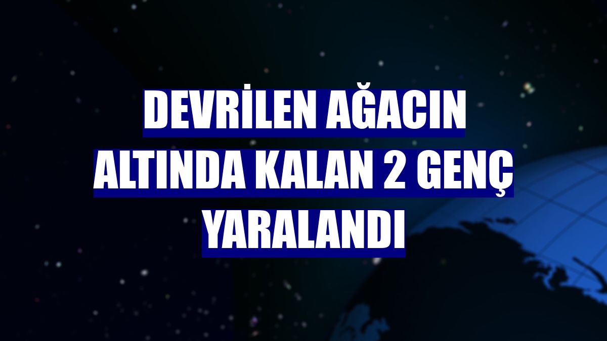 Devrilen ağacın altında kalan 2 genç yaralandı