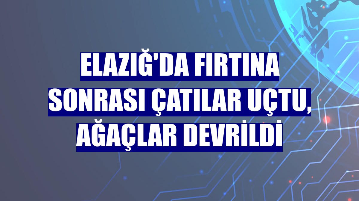 Elazığ'da fırtına sonrası çatılar uçtu, ağaçlar devrildi