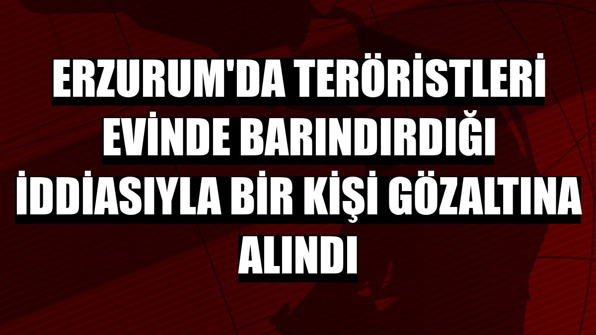 Erzurum'da teröristleri evinde barındırdığı iddiasıyla bir kişi gözaltına alındı