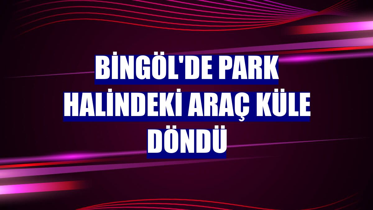 Bingöl'de park halindeki araç küle döndü