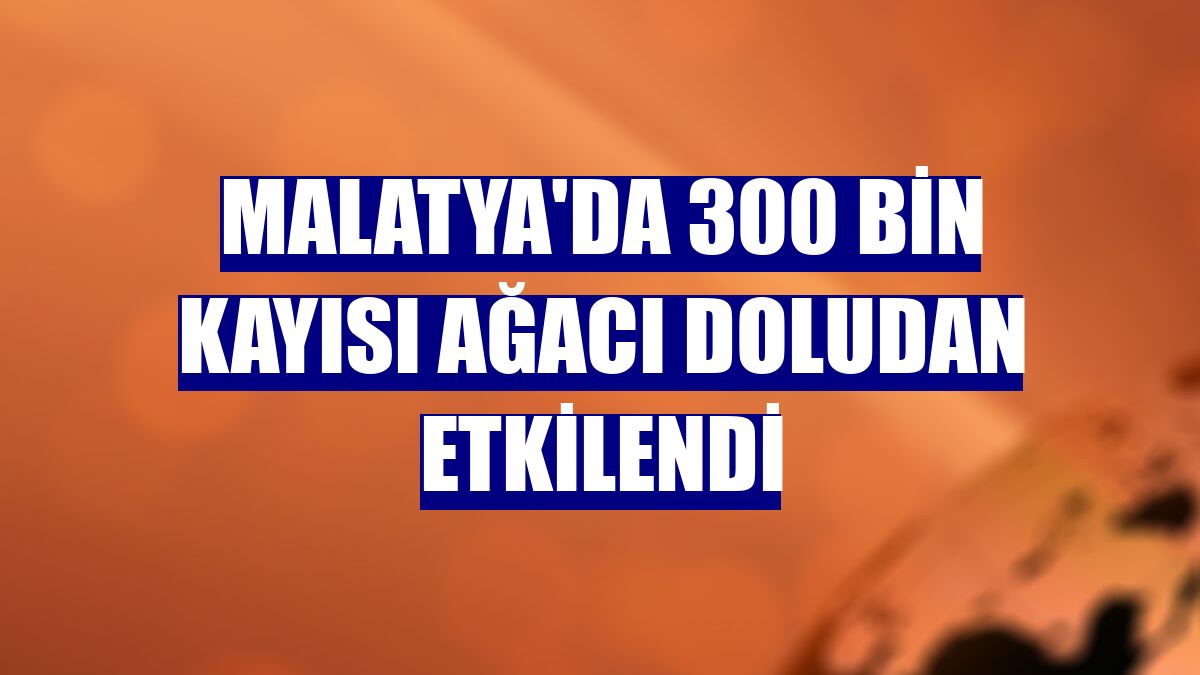 Malatya'da 300 bin kayısı ağacı doludan etkilendi