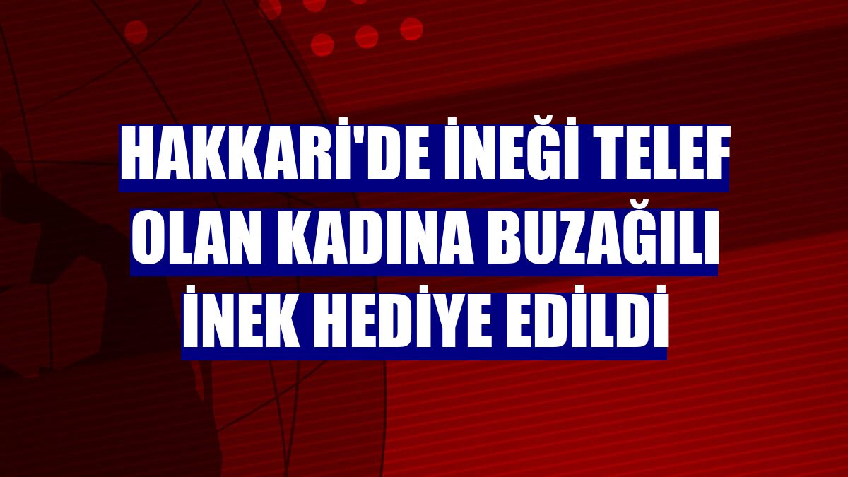 Hakkari'de ineği telef olan kadına buzağılı inek hediye edildi