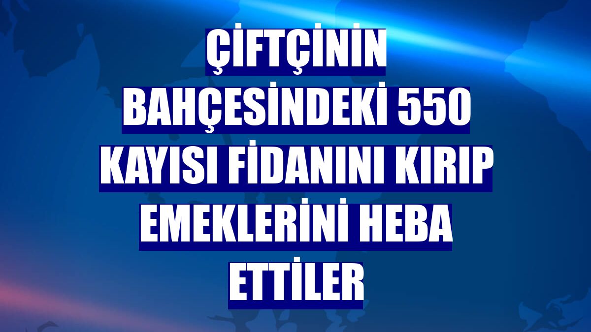 Çiftçinin bahçesindeki 550 kayısı fidanını kırıp emeklerini heba ettiler