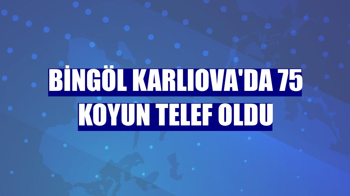 Bingöl Karlıova'da 75 koyun telef oldu