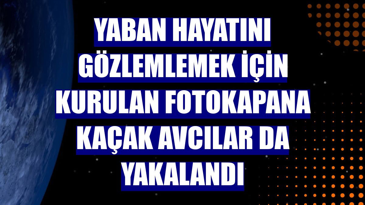 Yaban hayatını gözlemlemek için kurulan fotokapana kaçak avcılar da yakalandı