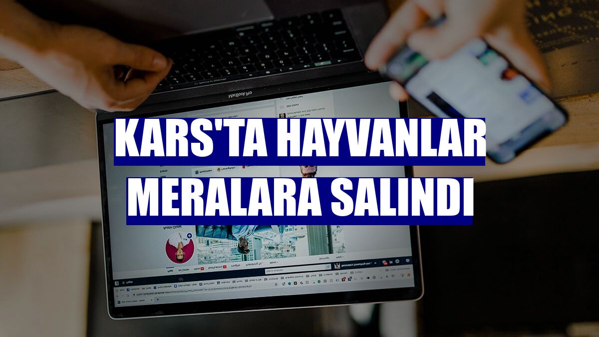 Kars'ta hayvanlar meralara salındı