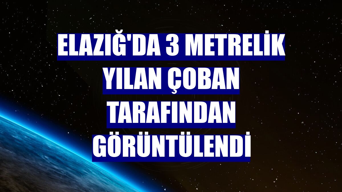 Elazığ'da 3 metrelik yılan çoban tarafından görüntülendi