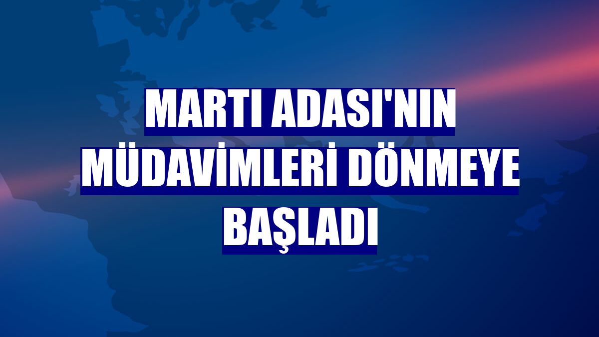 Martı Adası'nın müdavimleri dönmeye başladı