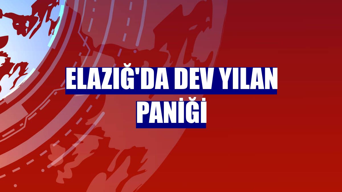 Elazığ'da dev yılan paniği