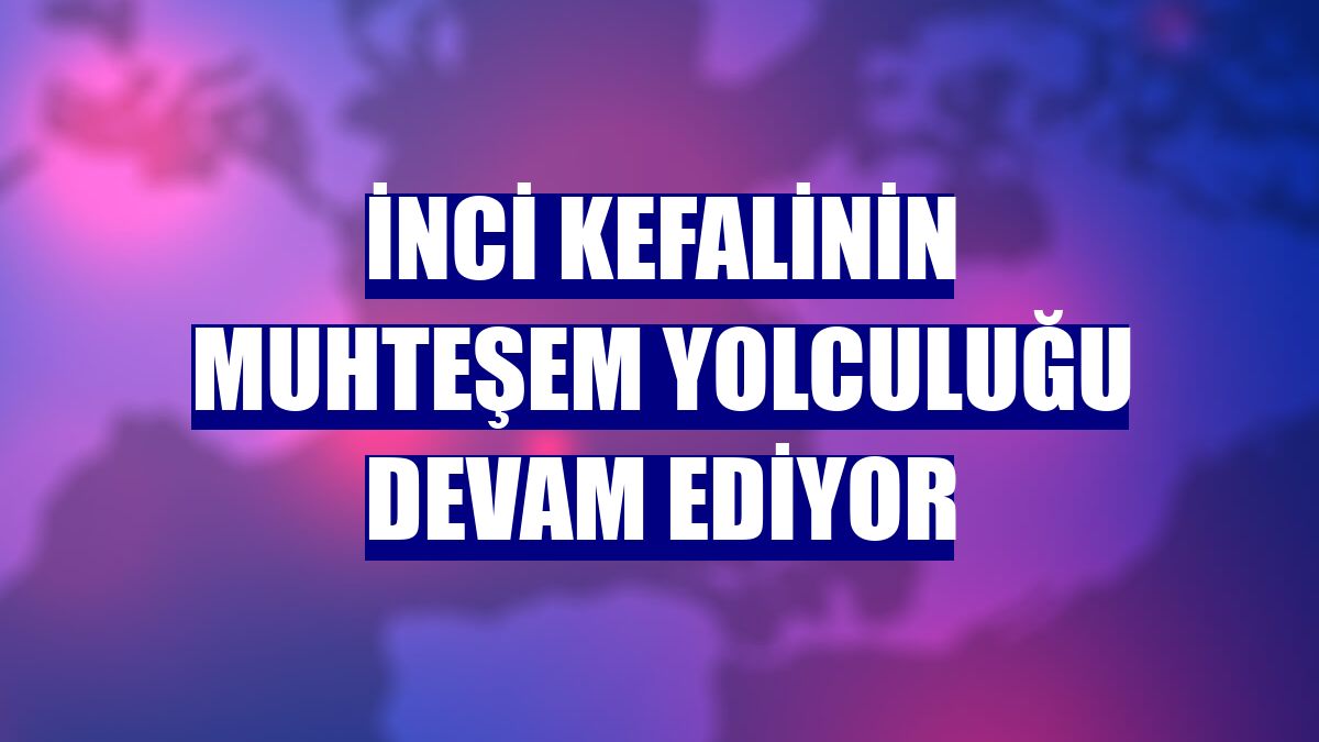 İnci kefalinin muhteşem yolculuğu devam ediyor