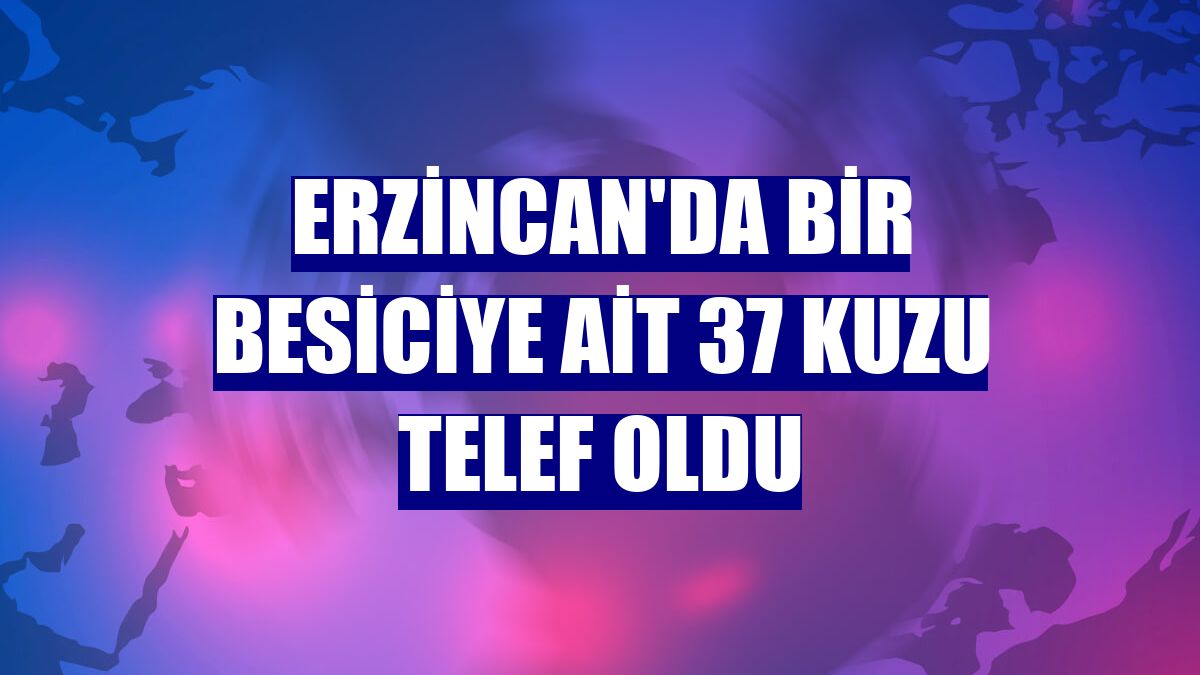 Erzincan'da bir besiciye ait 37 kuzu telef oldu