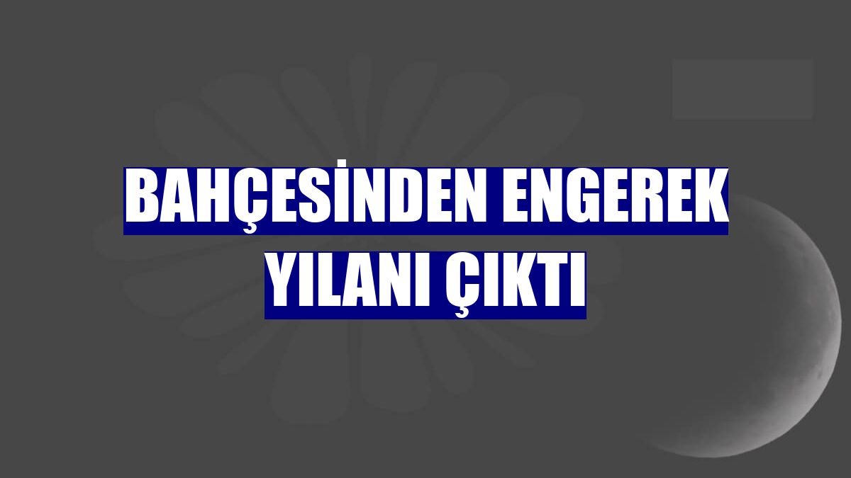 Bahçesinden engerek yılanı çıktı