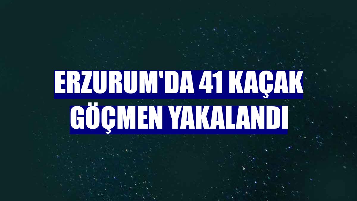 Erzurum'da 41 kaçak göçmen yakalandı