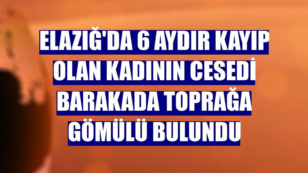 Elazığ'da 6 aydır kayıp olan kadının cesedi barakada toprağa gömülü bulundu