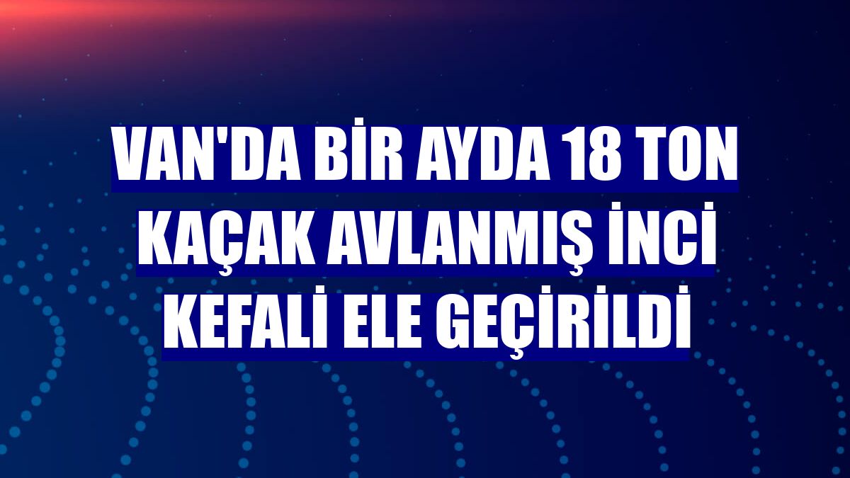 Van'da bir ayda 18 ton kaçak avlanmış inci kefali ele geçirildi