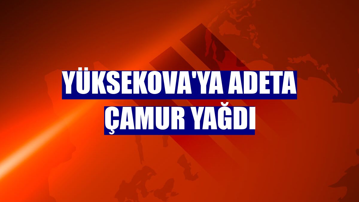 Yüksekova'ya adeta çamur yağdı